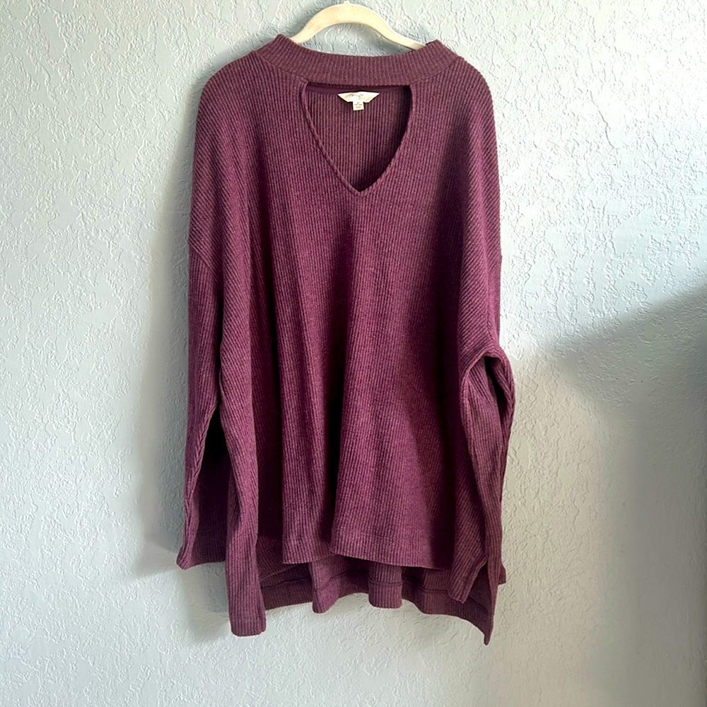 Terra & Sky purple sweater top